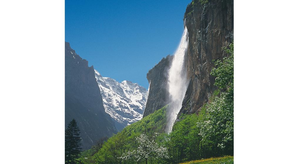 Camping Jungfrau Lauterbrunnen Eksteriør bilde